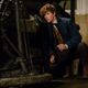 Eddie Redmayne protagoniza Fantastic Beasts and Where to Find Them. Todas las imágenes: Warner Bros.